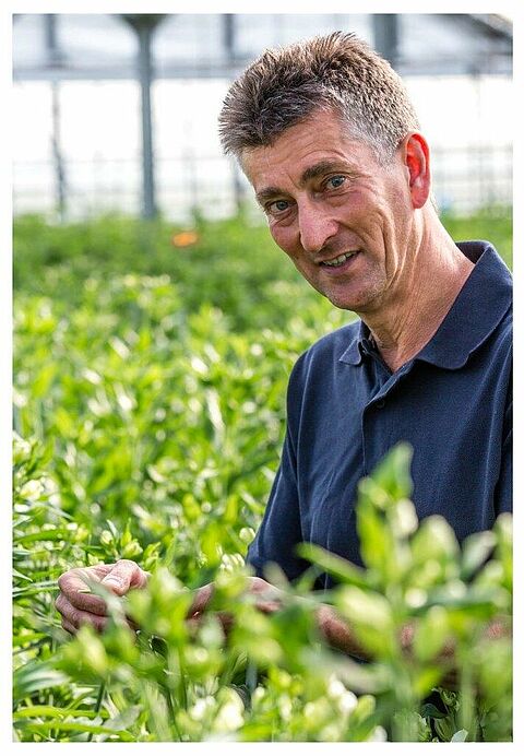 Limonica jaagt chemie tegen trips de showkas uit