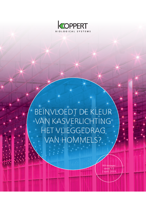 De invloed van kasverlichting op het vlieggedrag van hommels