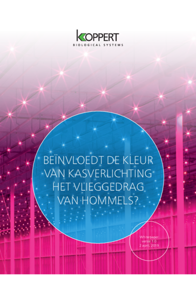 De invloed van kasverlichting op het vlieggedrag van hommels