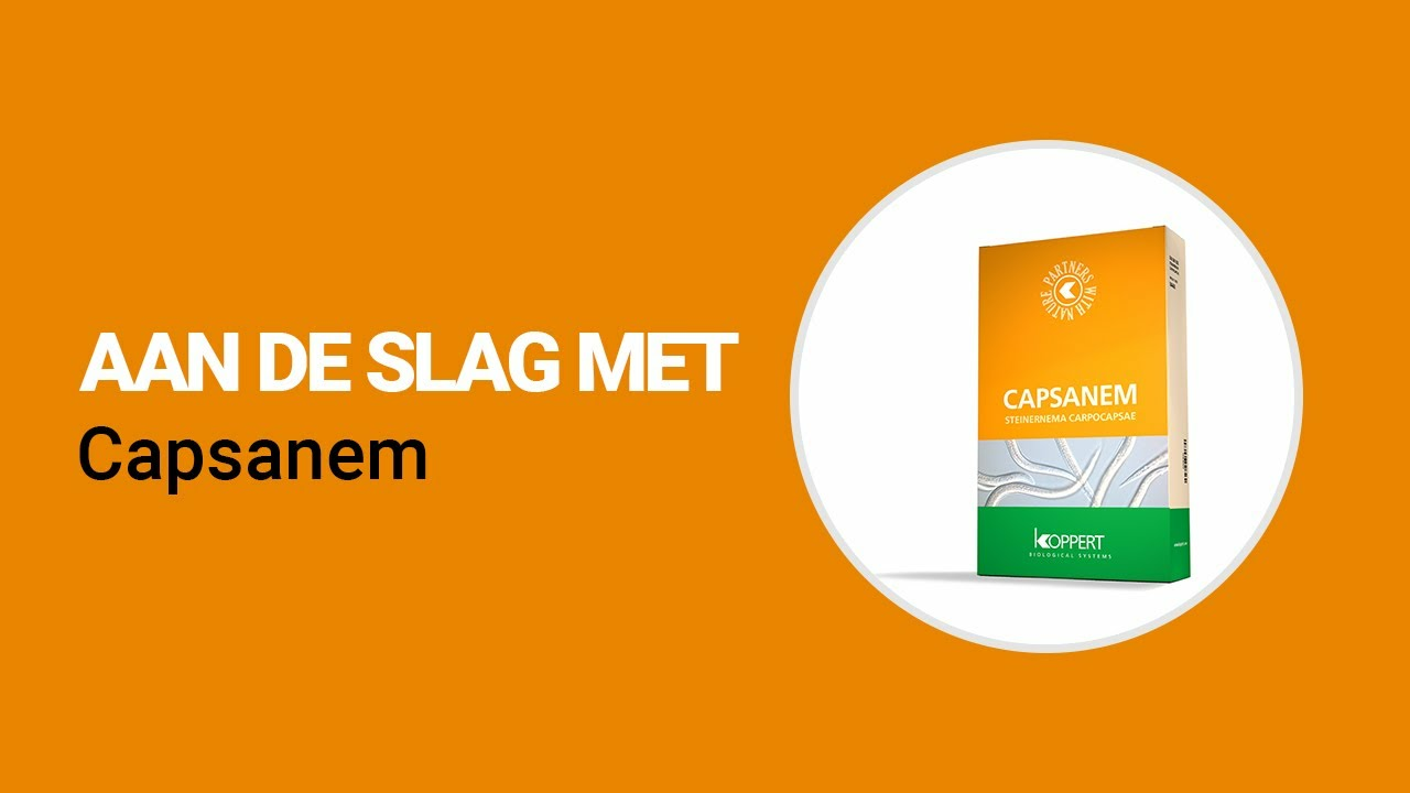 Aan de slag met Capsanem