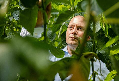 Een indrukwekkend portfolio aan roofmijten dankzij voortdurend onderzoek en innovaties