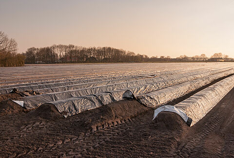 Vizier op nieuw akkerbouw- en vollegrondsgroenteseizoen