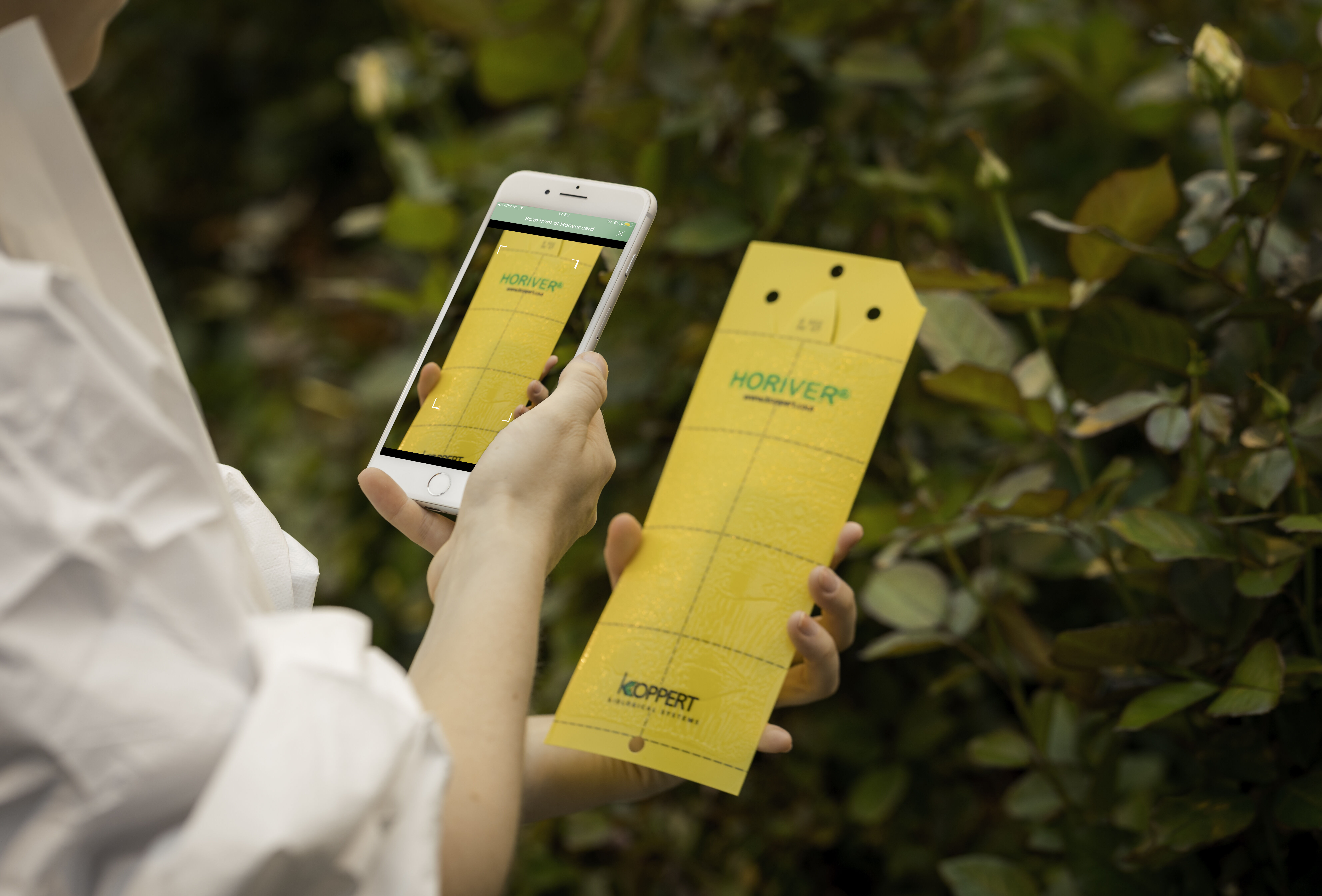 Succes delen we graag!