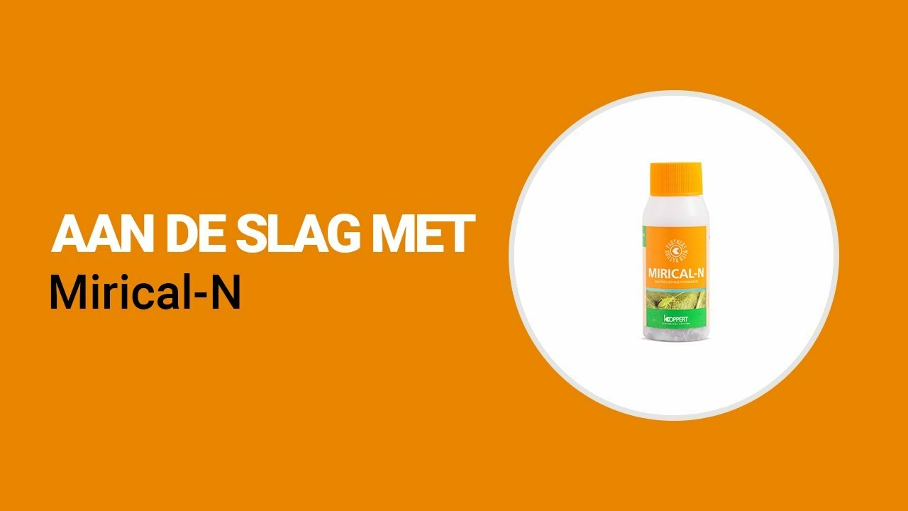 Aan de slag met Mirical-N van Koppert