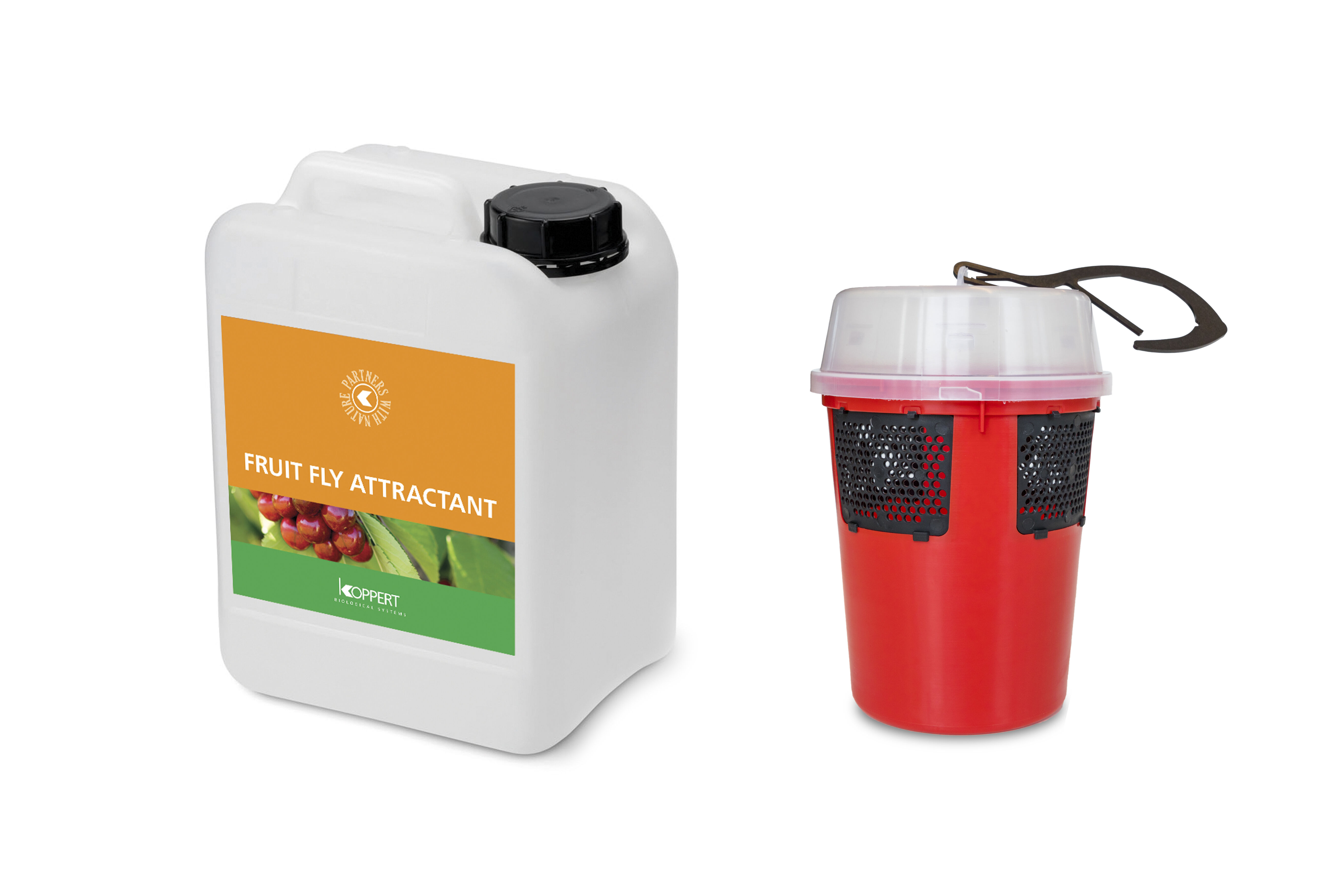 Buitenteelten: hang op tijd Drososan op