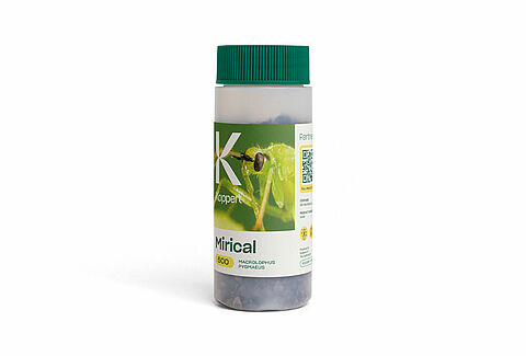 Mirical