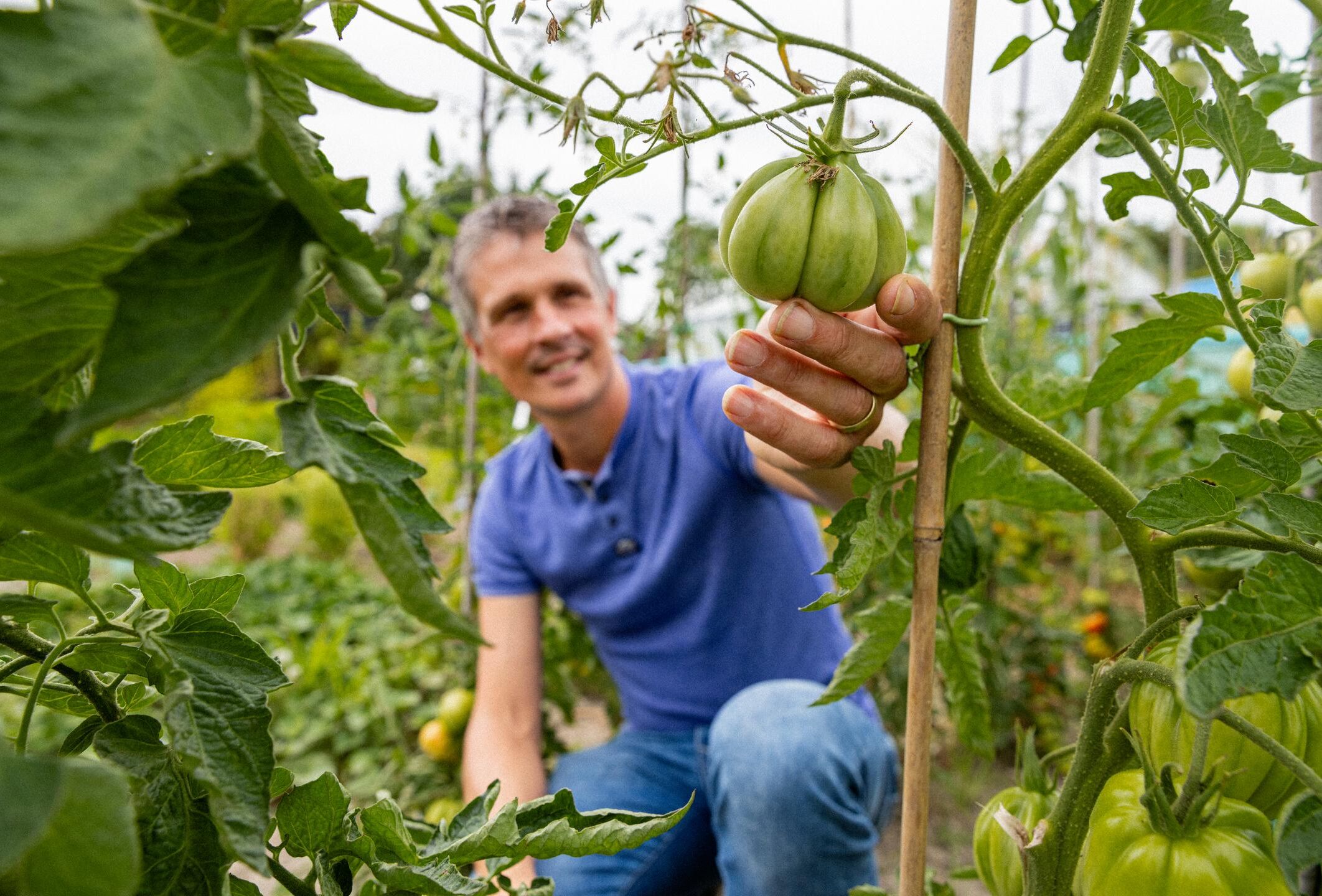 Een levenslange passie voor roofmijten