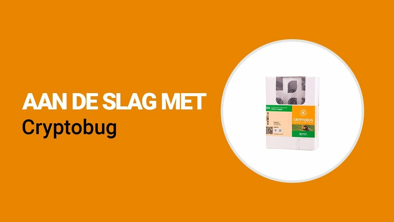 Aan de slag met Cryptobug van Koppert