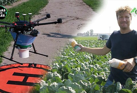 Koppert in aflevering Klaas kan Alles over natuurlijke gewasbescherming