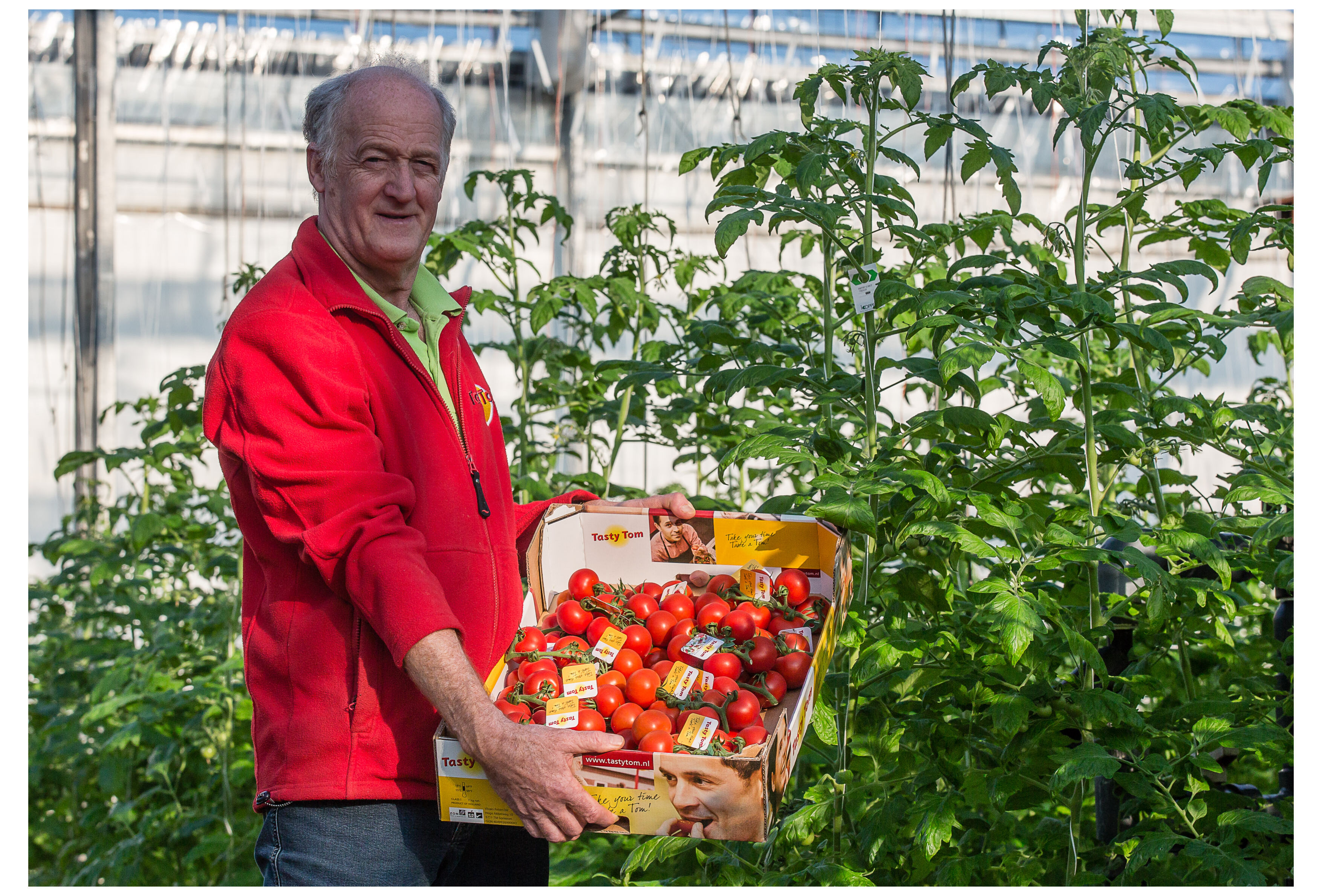Voorman Tasty Tom: “Veel meer doen met succesverhaal Nederlandse glastuinbouw”