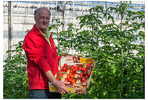 Voorman Tasty Tom: “Veel meer doen met succesverhaal Nederlandse glastuinbouw”