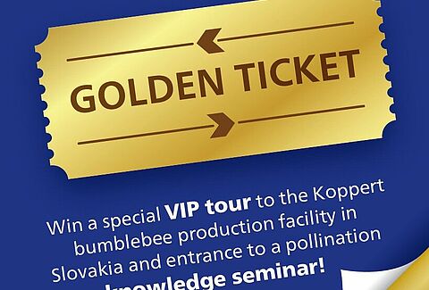 Win een golden ticket!!!
