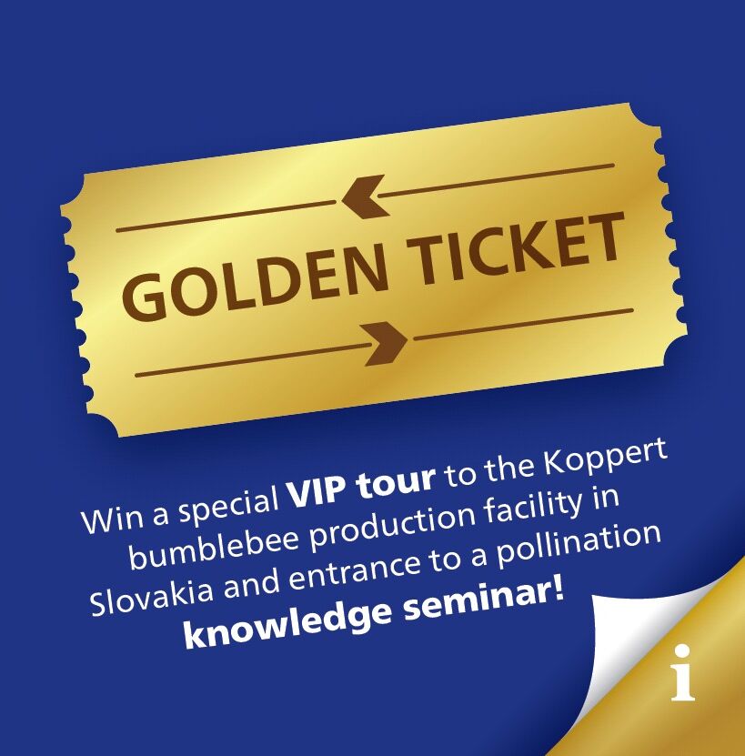 Win een golden ticket!!!