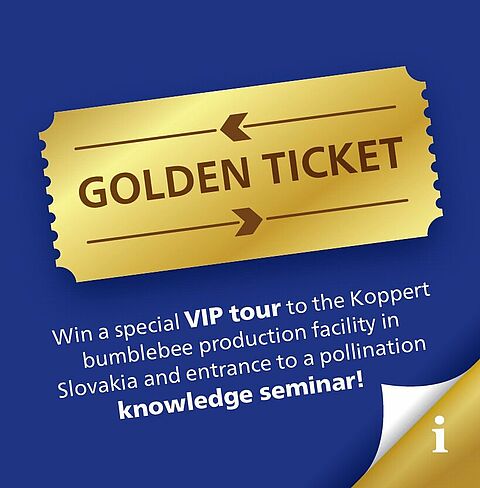 Win een golden ticket!!!