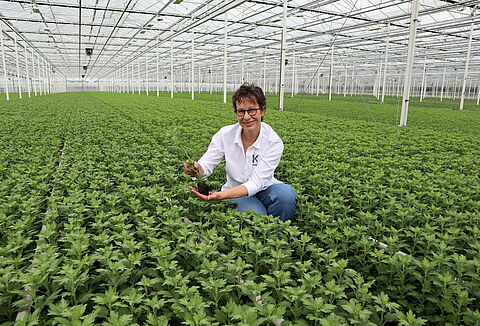 Telers: bevraag de mogelijkheden voor duurzame tuinbouw