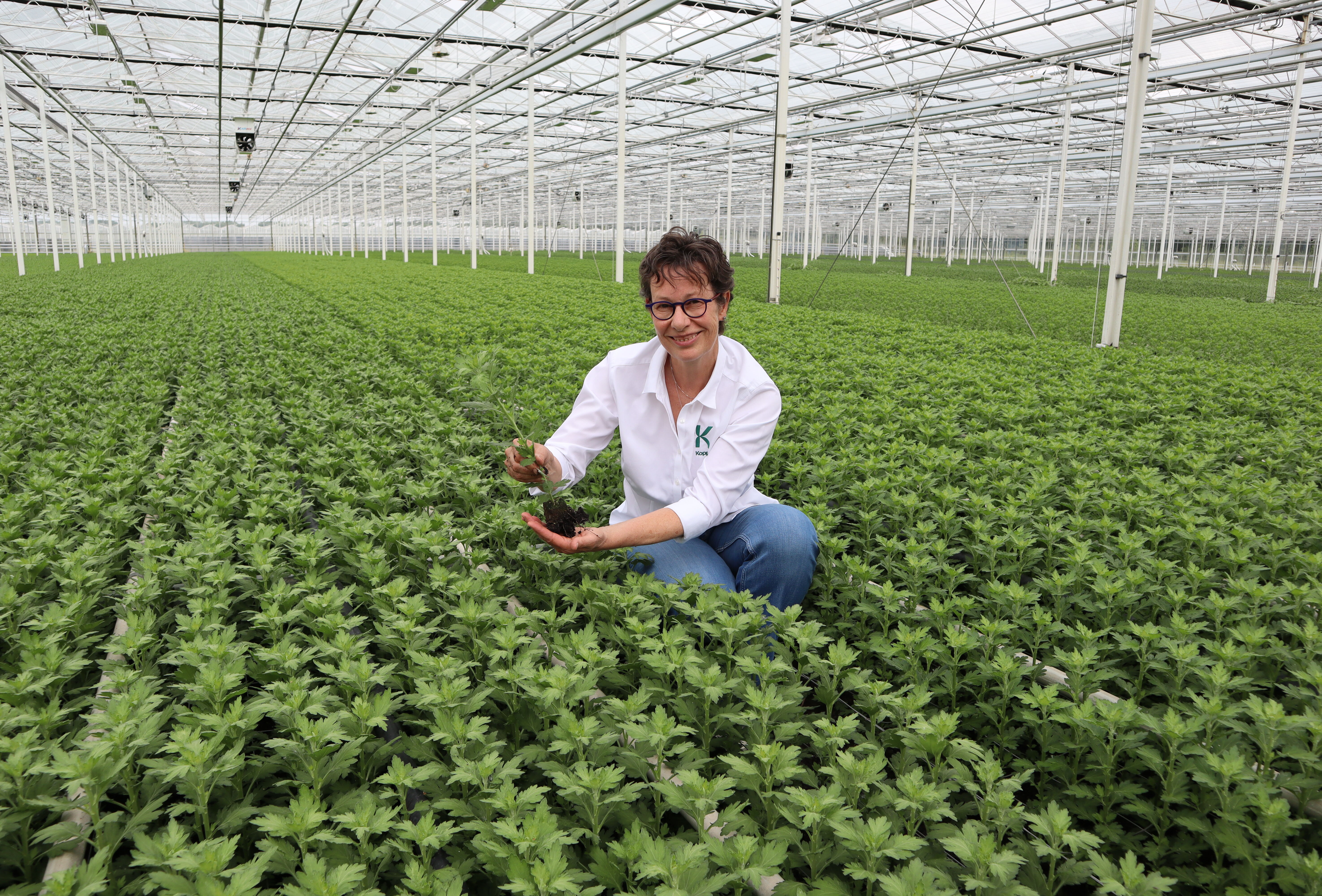 Telers: bevraag de mogelijkheden voor duurzame tuinbouw