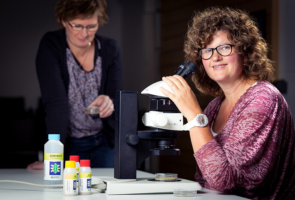 Cursus: Kennis over plagen en natuurlijke vijanden