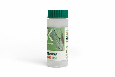 Minusa