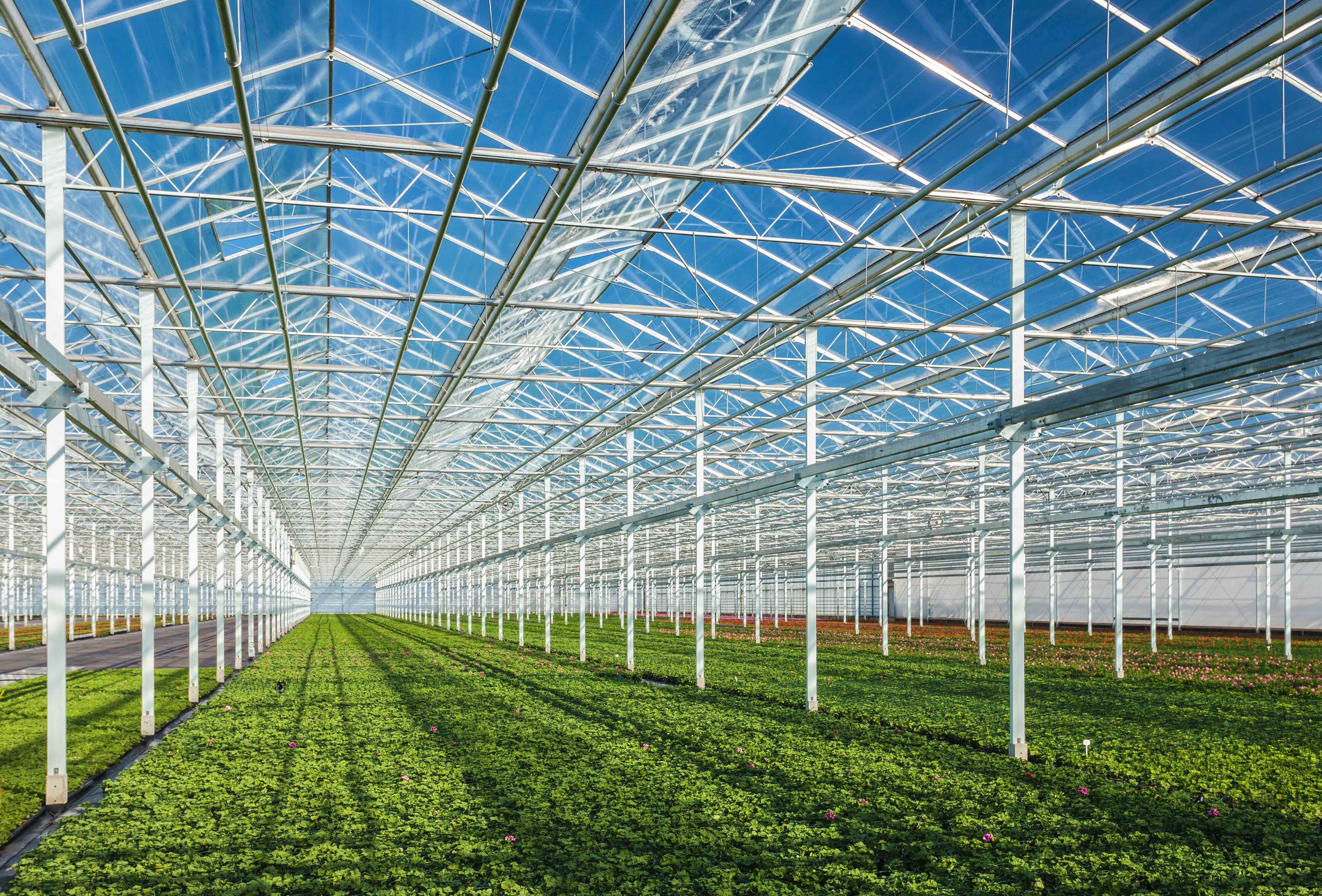 ‘Groene tuinder weet hoe hij gewas beschermt’