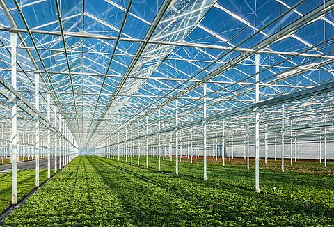 Niet kijken wat het kost, maar wat het u opbrengt!