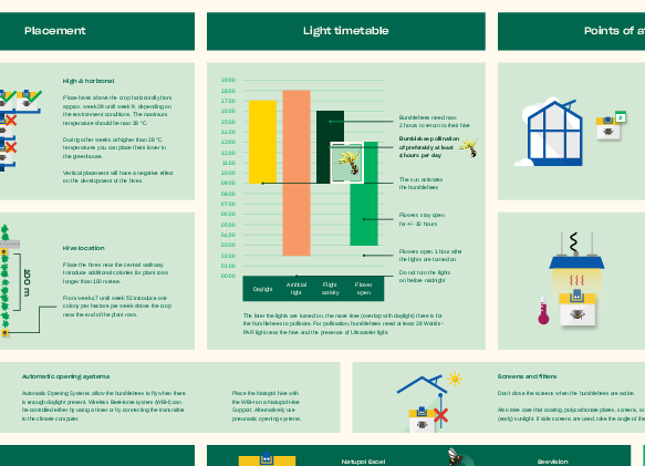 Checklist Assimilatiebelichting