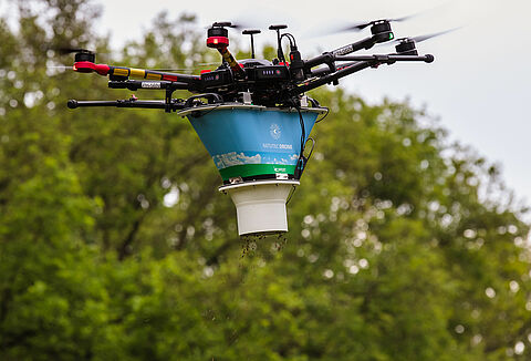 Natutec Drone de toekomst in bestrijding eikenprocessierups?