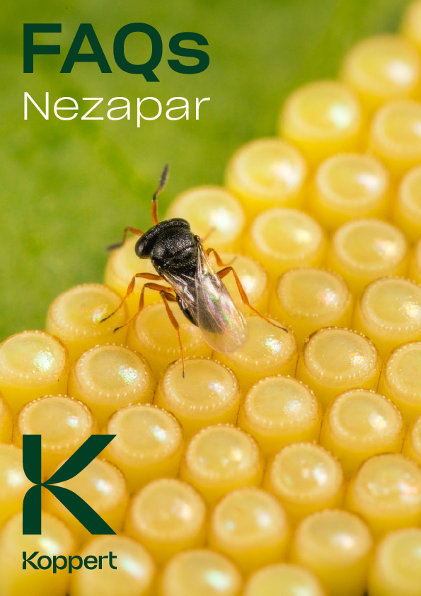 Nezapar FAQ NL