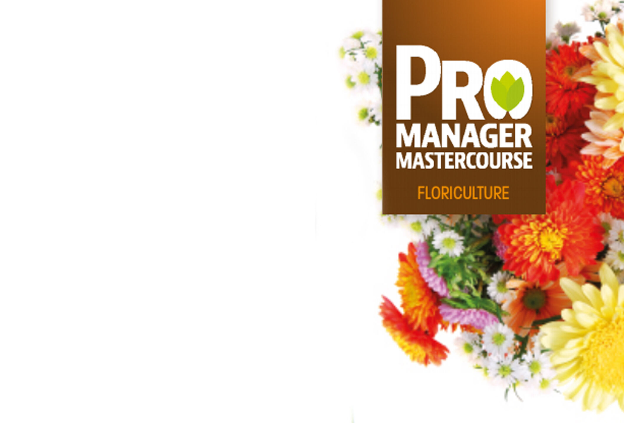 Training voor veelbelovende managers