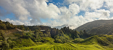 Wereldmilieudag - herstel van ecosystemen