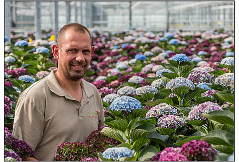 Succes met Limonica tegen Thrips setosus