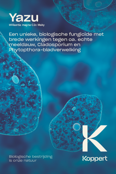 Yazu Brochure