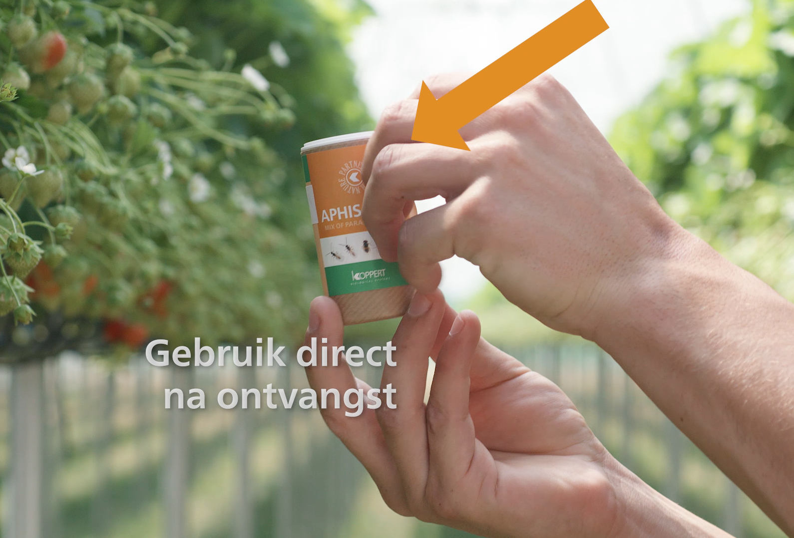 How-to-use video’s Koppert producten