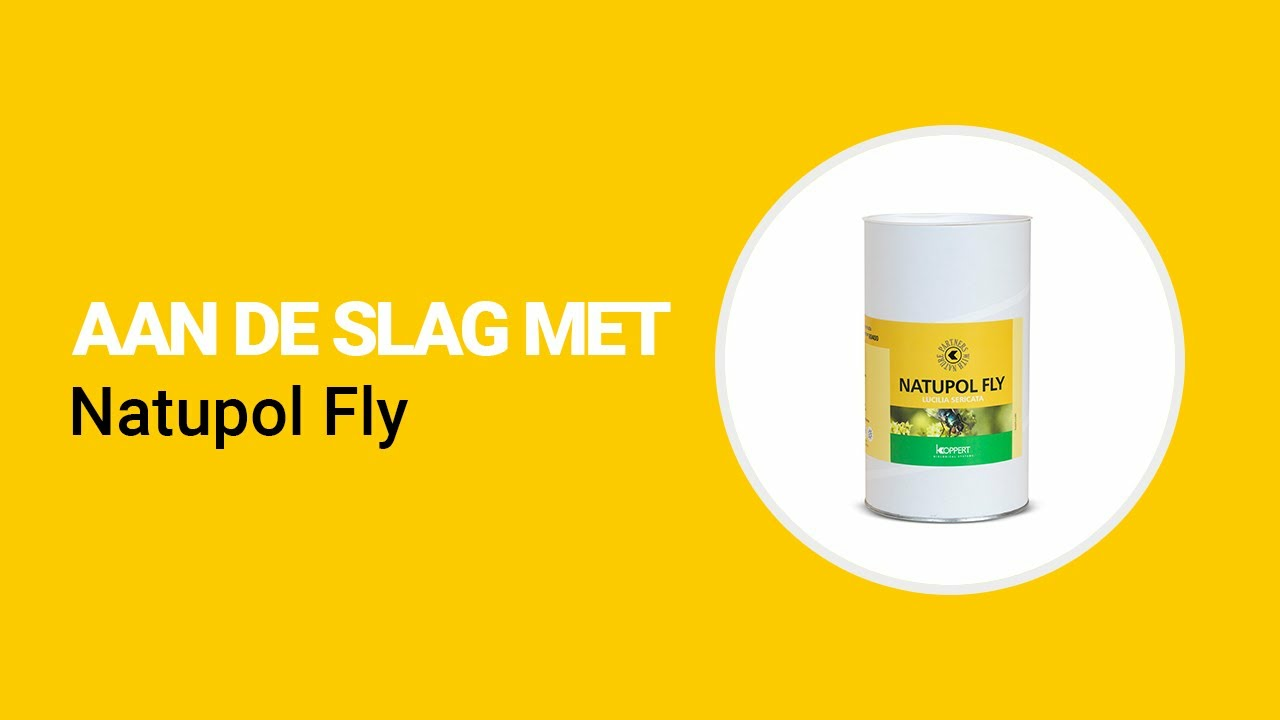 Aan de slag met Natupol Fly van Koppert