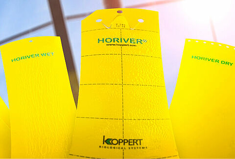 Koppert lanceert nieuwe reeks vangplaten