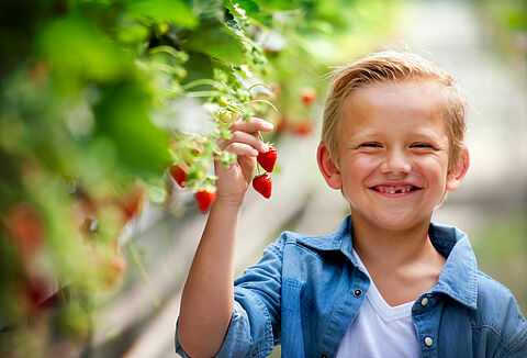 Your partner for sustainable cultivation - at Fruit Logistica