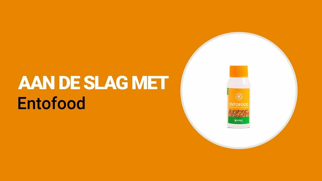Aan de slag met Entofood van Koppert