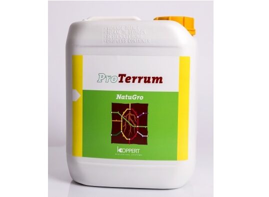 Droogtestress? Help de plant met ProTerrum