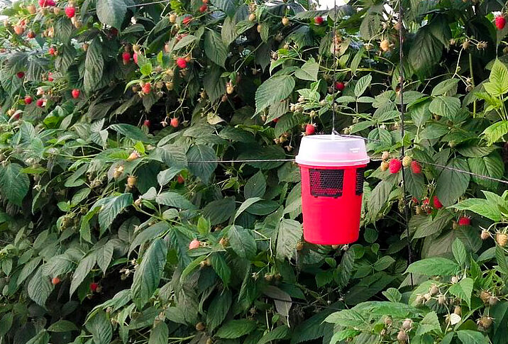 Gratis Drososan val voor bezoekers Fructura 2018