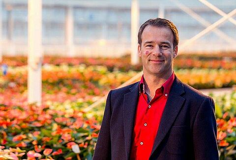 De trend: groene planten