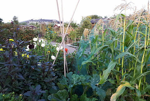 De kracht van de natuur