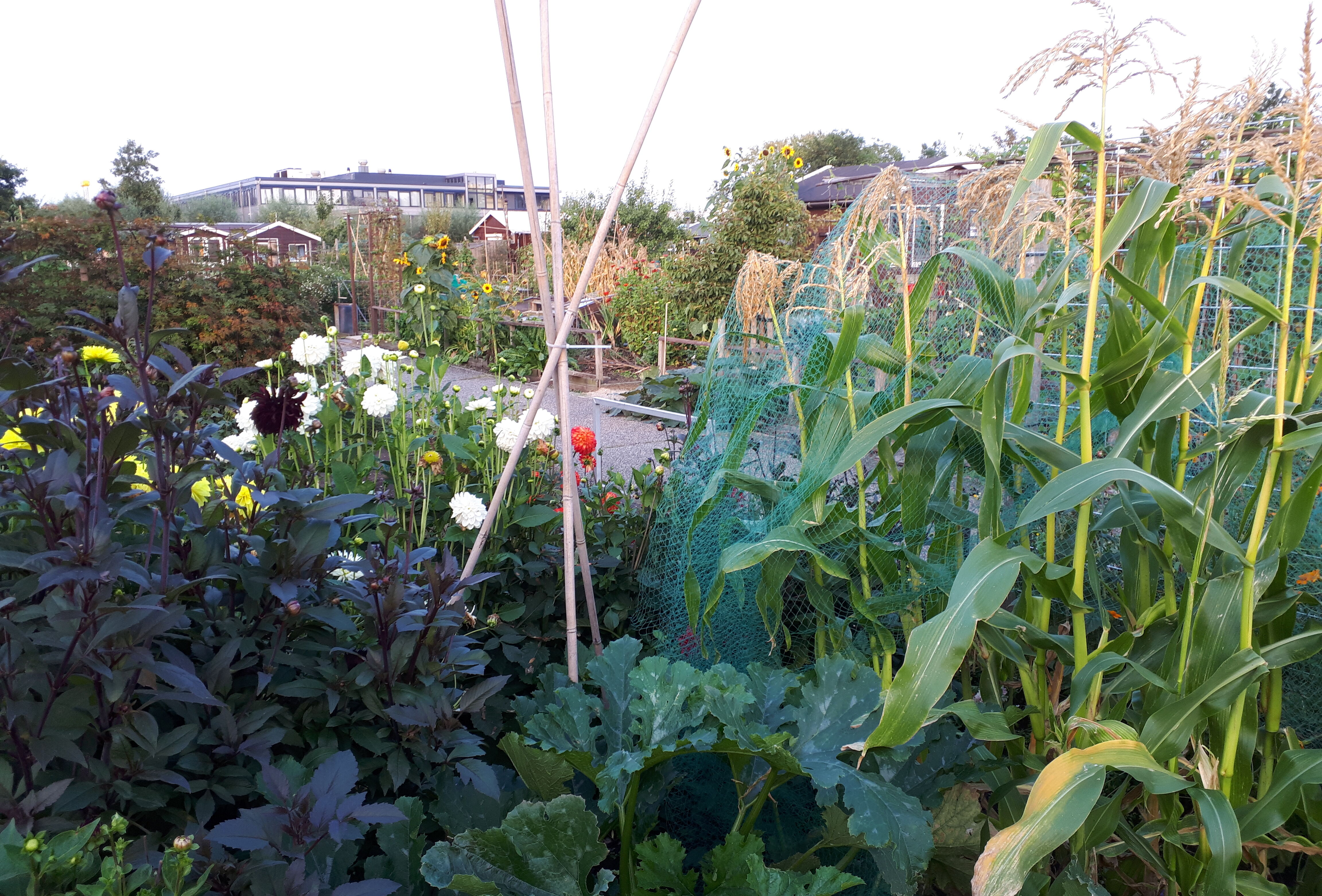 De kracht van de natuur