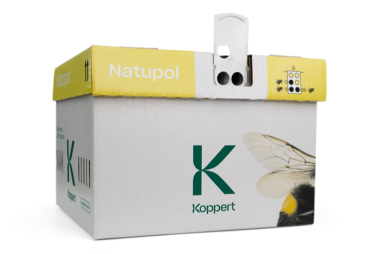 Koppert-hommelkasten: frisse look, vertrouwde kwaliteit