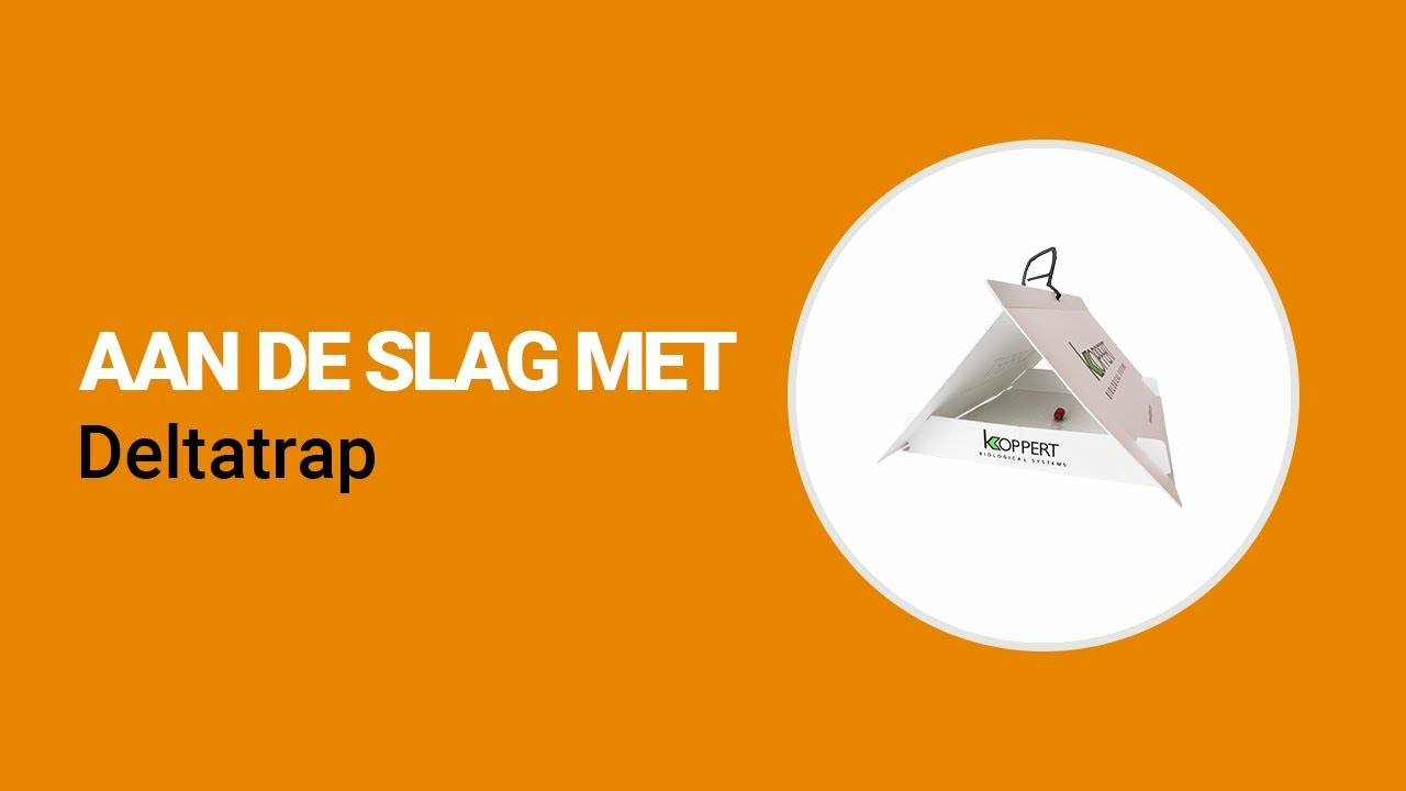 Aan de slag met de Deltatrap van Koppert