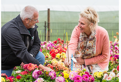 Alle zekerheden loslaten - en opnieuw beginnen