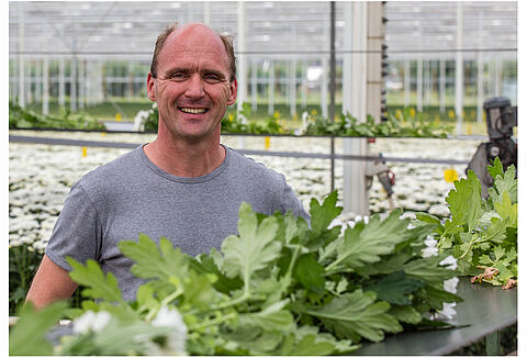 Montdo-Mite zet stevig de rem op trips in chrysant