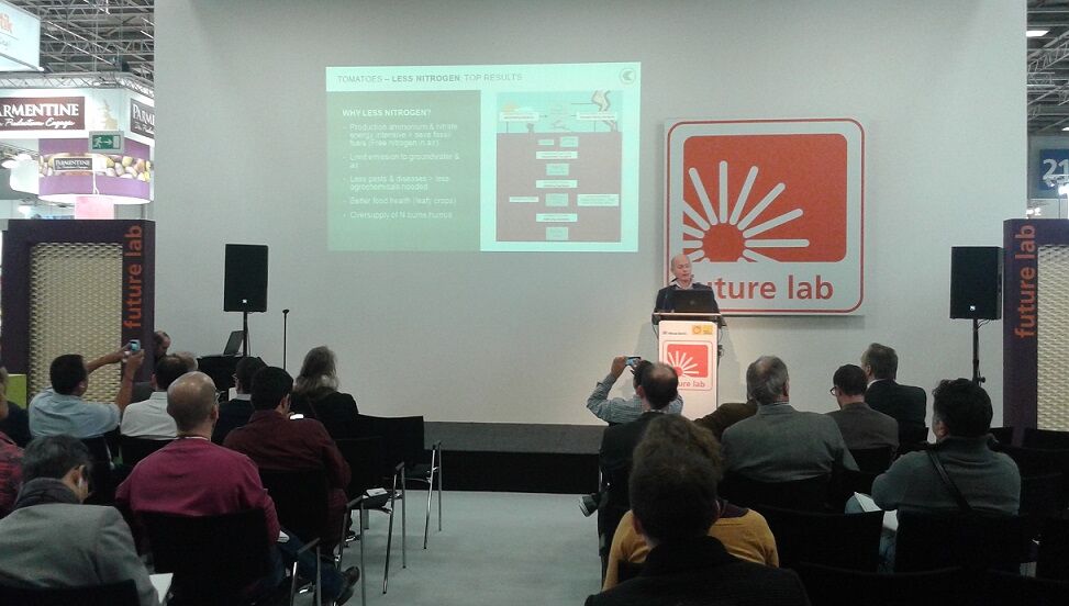 Tomatoes: less nitrogen, top results