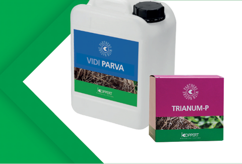 Trianum en Vidi Parva voor een goede start