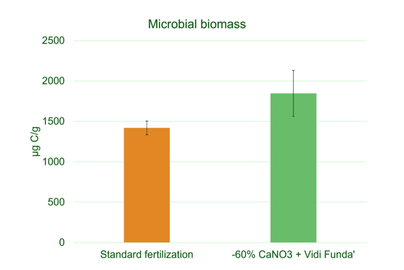Standaard: conventionele bemesting vs. Vidi Funda + Calcium granulaat. Proef uitgevoerd door NovaCropControl (2020) met proefvelden in 3 herhalingen. Ras: Arabella, geteeld op stellingen in een tunnel. Metingen zijn geanalyseerd door Eurofins Nederland met behulp van de PLFA-analyse (Phospholipid Fatty Acid Analysis) — de BodemlevenMonitor.