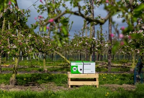 Bestel uw kolonies op tijd