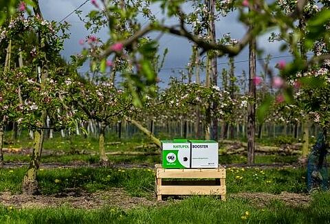 Bestel uw kolonies op tijd